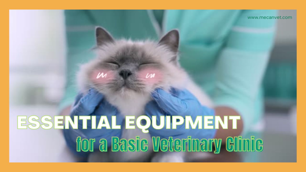 Essential Equipment for a Basic Veterinary Clinic